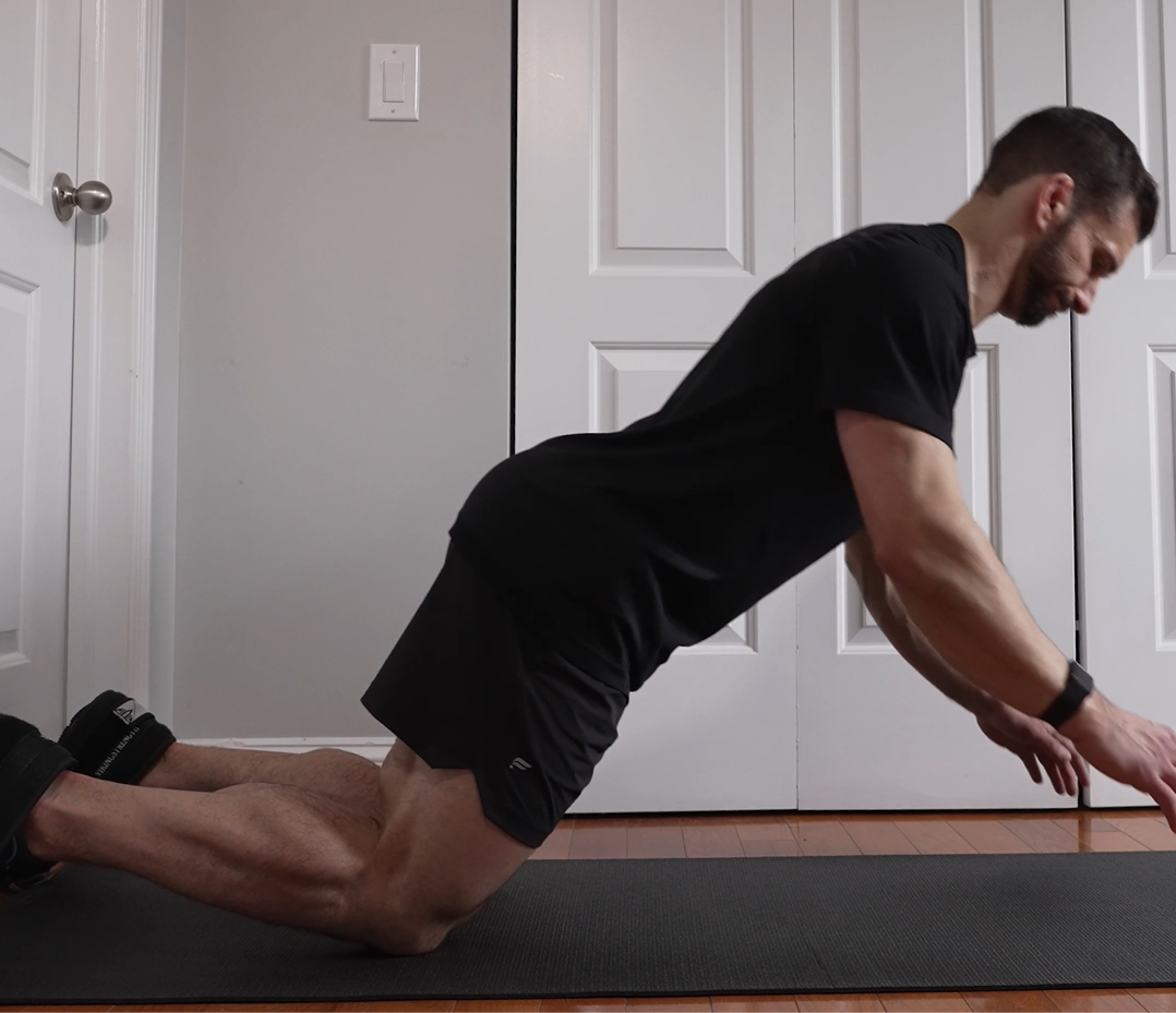 Vikingstrength nordic curl straps for hamstring nordic curls