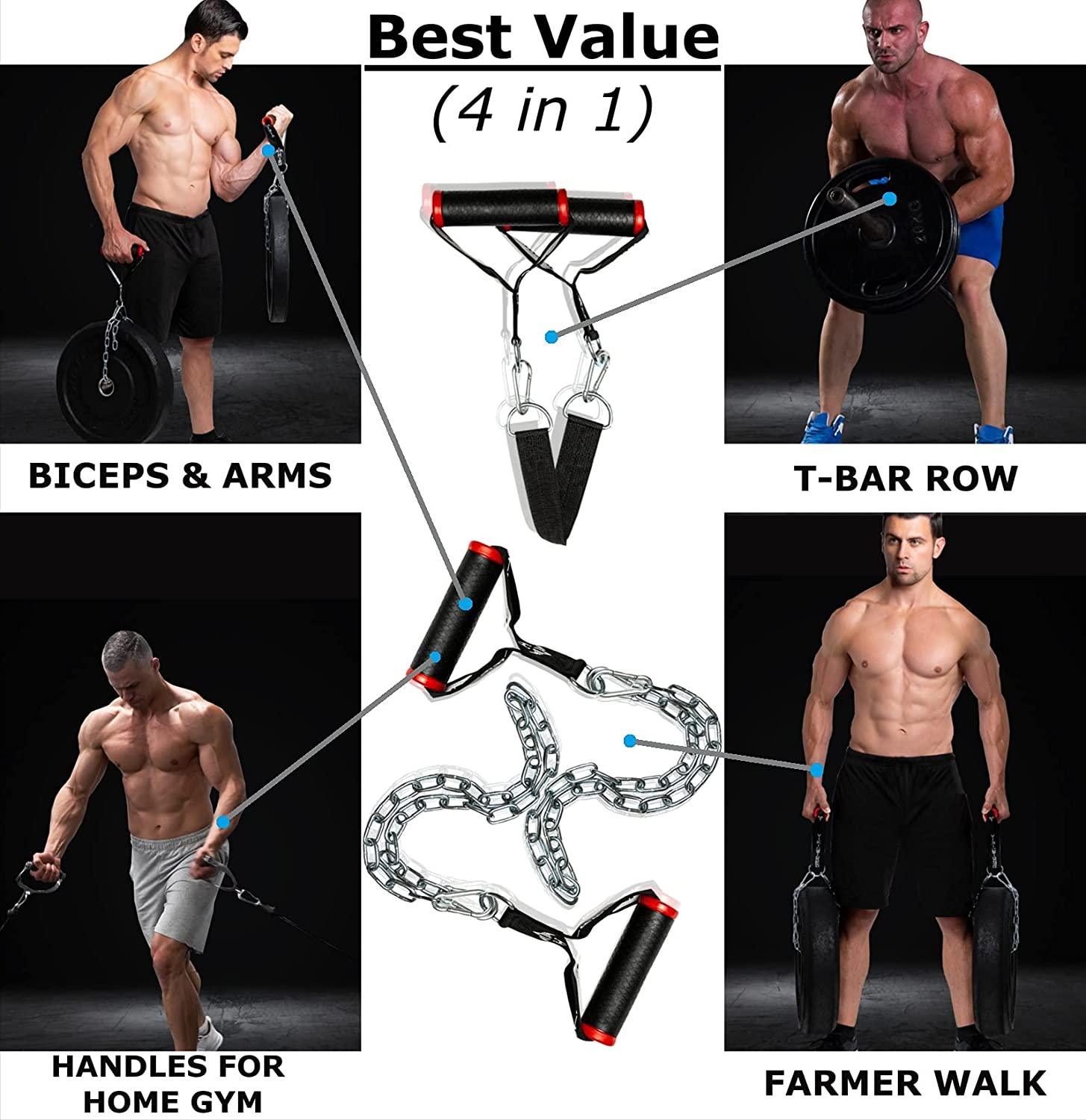 Farmers Walk Handles + T-bar row - Vikingstrength
