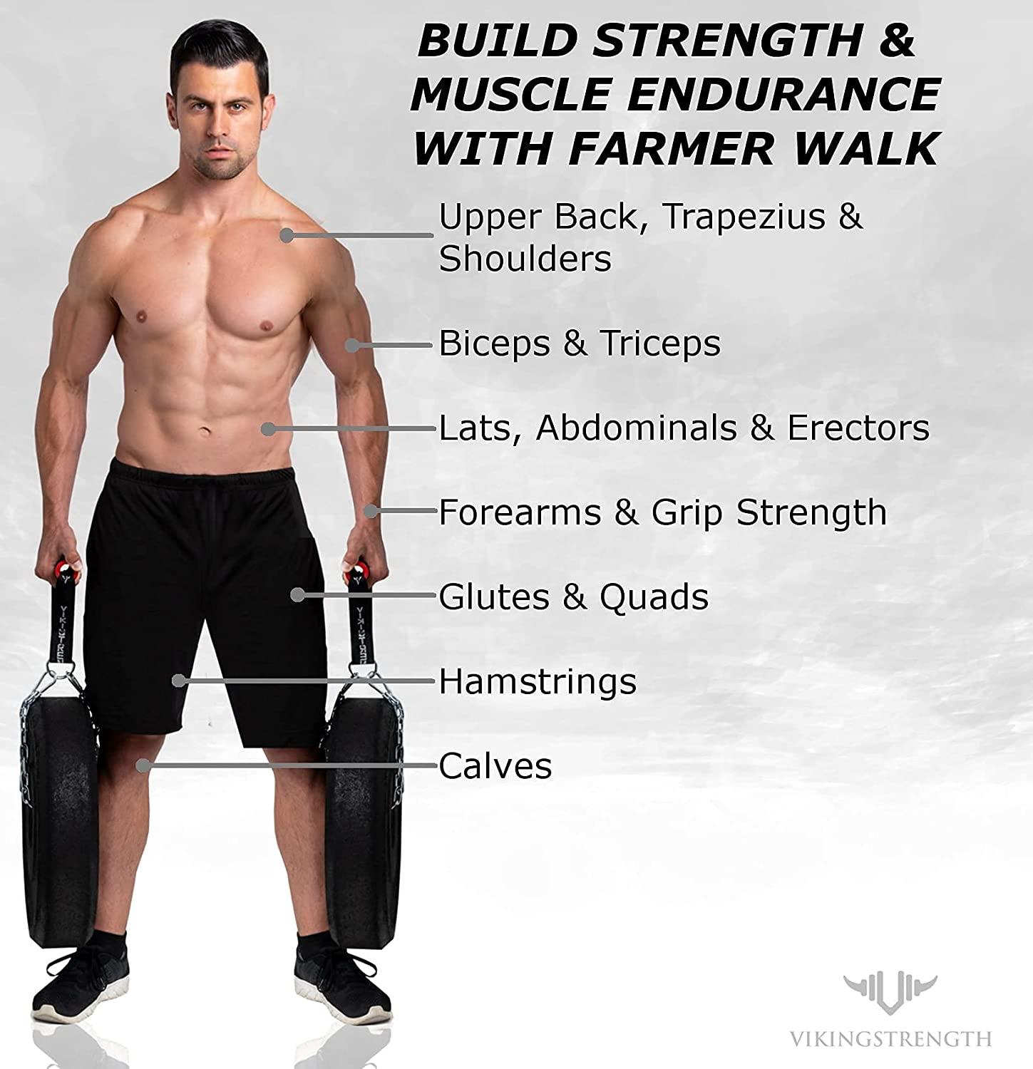 Farmers Walk Handles + T-bar row - Vikingstrength