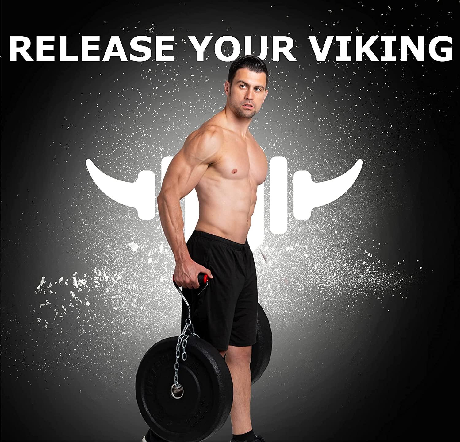 Farmers Walk Handles + T-bar row - Vikingstrength
