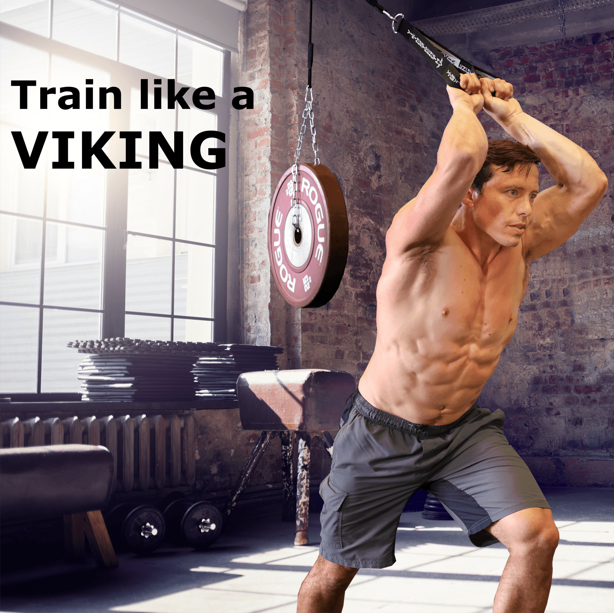 Pulley System - Vikingstrength